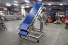 Moline Dough Elevator Conveyor